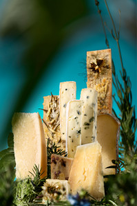 MANHATTANCHEESE©AGILOUX:ODANNREUTHER